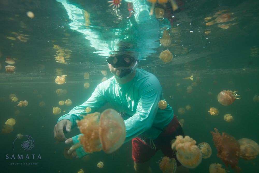 Tomolol Jellyfish Lake, Ian Keller